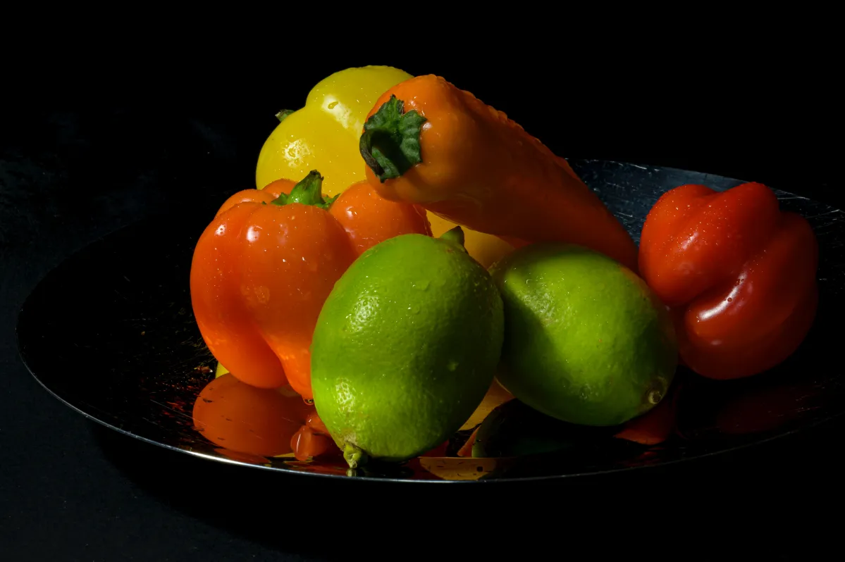 Titre de l'article 5